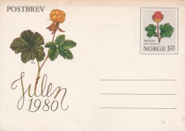 Norvège Entier Postal Lettre Non écrite Postbrev Julen 1980 - Fleur - Postal Stationery
