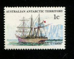 AUSTRALIAN ANTARCTIC TERRITORY 1981  POSTFRIS MINT YVERT 37 - Ungebraucht