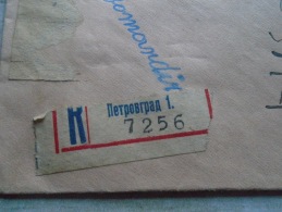 D138919  Yugoslavia   PETROVGRAD  Registered Cover To Hungary - Otros & Sin Clasificación