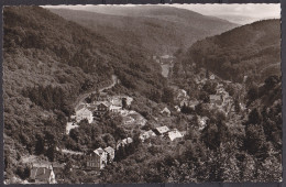 GERMANY , SCHLANGENBAD ,  OLD  POSTCARD - Schlangenbad