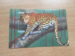 Madagascar 1999 Mi. Bl. 294 Fauna Faune Feline Leopard Panther **MNH IMPERF NON DENTELES UNZÄHNT - Madagaskar (1960-...)