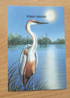 Madagascar 1999 Mi. Bl. 289 Fauna Bird Ardea Goliath Oiseau Vogel **MNH IMPERF NON DENTELES UNZÄHNT - Madagascar (1960-...)