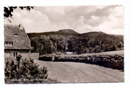 4990 LÜBBECKE, Blick Auf Den Reineberg, 1960 - Luebbecke