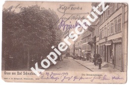 Bad Schwalbach, Brunnenstrasse  1903  (z3293) - Bad Schwalbach