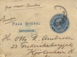 Argentina   Postal Stationery  Wrapper To Denmark  S-2053 - Enteros Postales