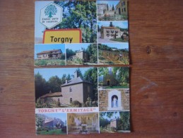 Lot De 2 Cartes De TORGNY ( ROUVROY ) Multivues - Rouvroy
