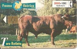 CARTE-PUCE-ESPAGNE-2000-TOROS-COMBAT-TBE - Kühe