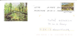 PAP ENTIER POSTAL STATIONERY GANZSACHE GS FRANCE OBLITERE MARAIS POITEVIN BARQUE Sans Fenetre TABLEAU IZARD ART KUNST - Prêts-à-poster: Repiquages Privés