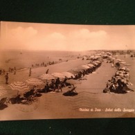 Cartolina Saluti Da Marina Di Pisa Saluti Dalla Spiaggia Viaggiata  1960 - Pisa