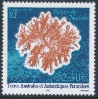 TAAF 2005 Corals "Peigne De Neriedes" 1v**MNH - Ongebruikt