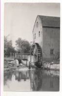 33946  -  Overpelt    Oude  Watermolen  -Hospershoven    Photo Geevaert   Format Carte - Overpelt