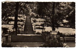 Quedlinburg Bad Suderode - S/w Kurpark Kurterrasse - Quedlinburg