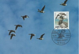 Branta Bernicla  Ringelgans  Brentgoose  Maxicard  Fdc. Germany.# 05090 - Ganzen