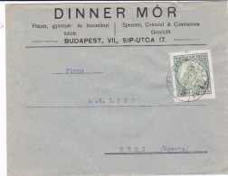 Lettre De Budapest Pour Berne (Suisse) Madonna 5000 Korona - Briefe U. Dokumente