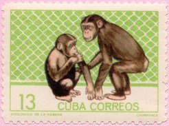 N° Yvert & Tellier 778 - Timbre De Cuba (1964) - MNH - Chimpanzés - Nuevos