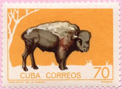 N° Yvert & Tellier 782 - Timbre De Cuba (1964) - MNH - Bison - Neufs