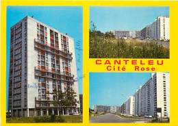 PIE-16 038 :  CANTELEU CITE ROSE IMMEUBLES - Canteleu