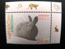 Post Stamp From Kyrgyzstan, Animal Year Of Rabbit 2011, Mint - Kyrgyzstan