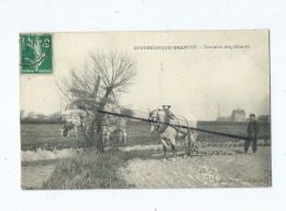 CPA  Décollée  - Coudekerque Branche  Travaux Des Champs  (cheval ) - Coudekerque Branche