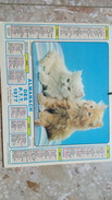 ALMANACH DES P.T.T 1977 - Jean LAVIGNE - CHIEN CHAT - CHIOTS CHATONS Photo AARONS - SEINE ET MARNE 77 - Groot Formaat: 1961-70