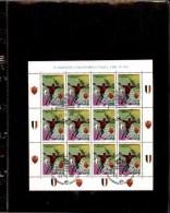 ITALIA 2001 MINIFOGLIO ROMA CAMPIONE D'ITALIA  ANNULLO PRIMO GIORNO - Used Stamps