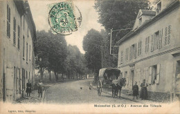 95 - MOISSELLES - Avenue Des Tilleuls - Moisselles