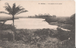 Gabon Les Papyrus  De La Loeme - Gabon