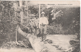 Gabon Mayumba Reconnaissance En Foret - Gabón