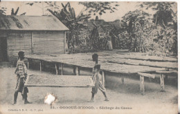 Gabon Ogooue-n'kogo Sechage Du Cacao - Gabón