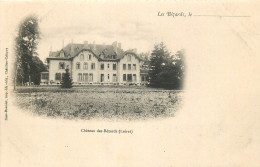 45 - CHATILLON COLIGNY - Chateau Des Bézards - Carte 1900 - Chatillon Coligny