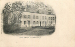 45 - CHATILLON COLIGNY - Chateau Des Bennes - Carte 1900 - Chatillon Coligny