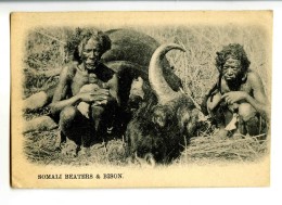 17838   -   Somali Beaters & Bison - Somalie
