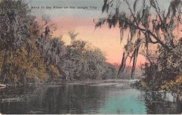 04775 "FLORIDA-A. BEND IN THE RIVER ON THE JUNGLE TRIP-IL VIAGGIO NELLA GIUNGLA" PANORAMA  CART  NON SPED - Autres & Non Classés