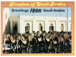 (DEL 545) Saudi Arabia Welcome - Camels - Arabia Saudita