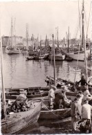 Delcampe - CP - La Peche - Visvangst - En Bretagne Le Port De Concarneau - Fischerei