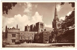 The Cathedral And Bishop's Palace, Chichester - Real Photo - Unused - Chichester