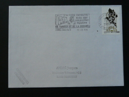 65 Hautes Pyrénées Tarbes Egyptologie 1988 - Flamme Sur Lettre Postmark On Cover - Aegyptologie