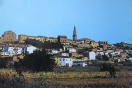 Briones Rioja Panoramica - La Rioja (Logrono)