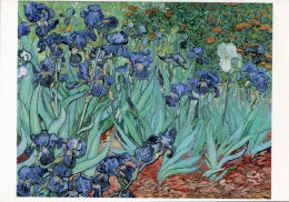 V50 / NEUVE CP VINCENT VAN GOGH LES IRIS VOIR DOS - Van Gogh, Vincent