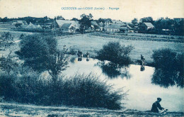 45 - OUZERVILLE Sur LOIRE - Paysage - Ouzouer Sur Loire