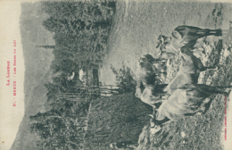 Delcampe - 48 MENDE / Les Bords Du Lot / - Mende