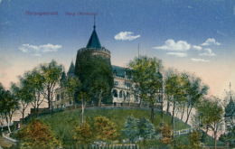 Delcampe - DE HERZOGENRATH / Burg / - Herzogenrath