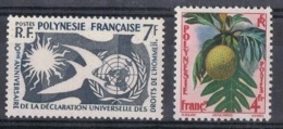 POLY-3 - POLYNESIE N° 12/13 Neufs** - Unused Stamps