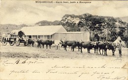 MOÇAMBIQUE, MOZAMBIQUE, Carro Boer, Junto A MACEQUECE, 2 Scans - Mozambico