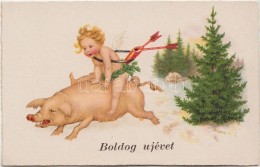 ** T1/T2 Újév / New Year, Pig; Paul Pittius Postcard - Unclassified