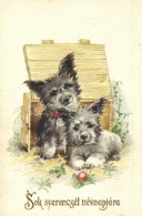 * T2 'Sok Szerencsét Névnapjára' / Nameday Greeting Card With Dogs - Non Classés