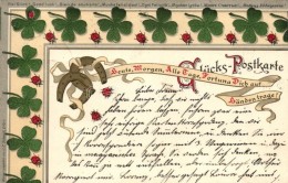 T2 1899 Glücks-Postkarte Herausgeben Von J. C. Schmidt/ Good Luck! Litho Greeting Card, Clovers - Zonder Classificatie