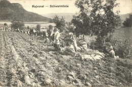 T2/T3 Rajvonal Lövészárok / Schwarmlinie / WWI Hungarian Soldiers In Trenches (EK) - Non Classés