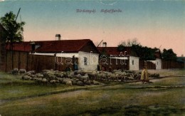 ** T2/T3 Birkanyáj / Hungarian Folklore, Sheep - Non Classés