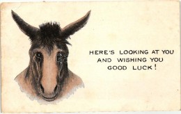 T3 Here's Looking At You And Wishing You Good Luck! / Donkey  (EB) - Zonder Classificatie